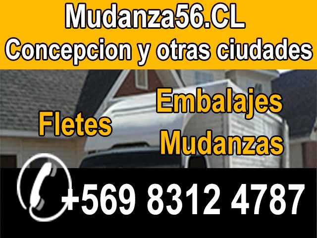 MudanzaBioBio.CL Servicios de mudanza o fletes Concepcion